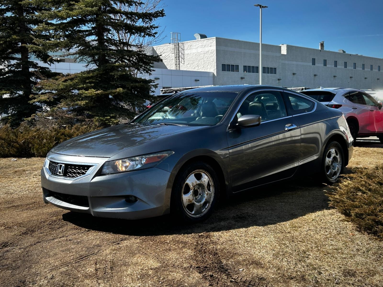 2010 Honda Accord