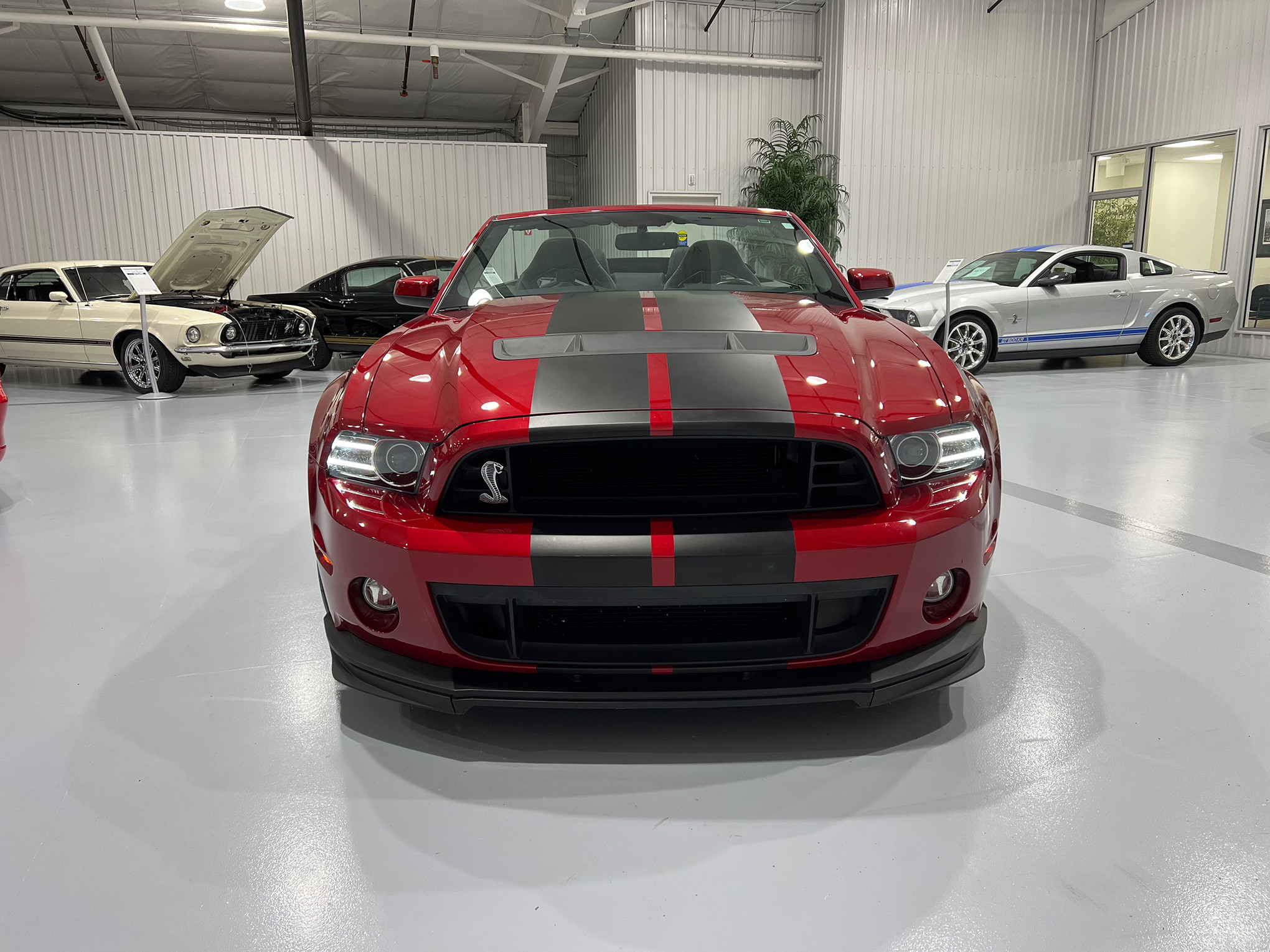 2013 Ford Shelby GT500