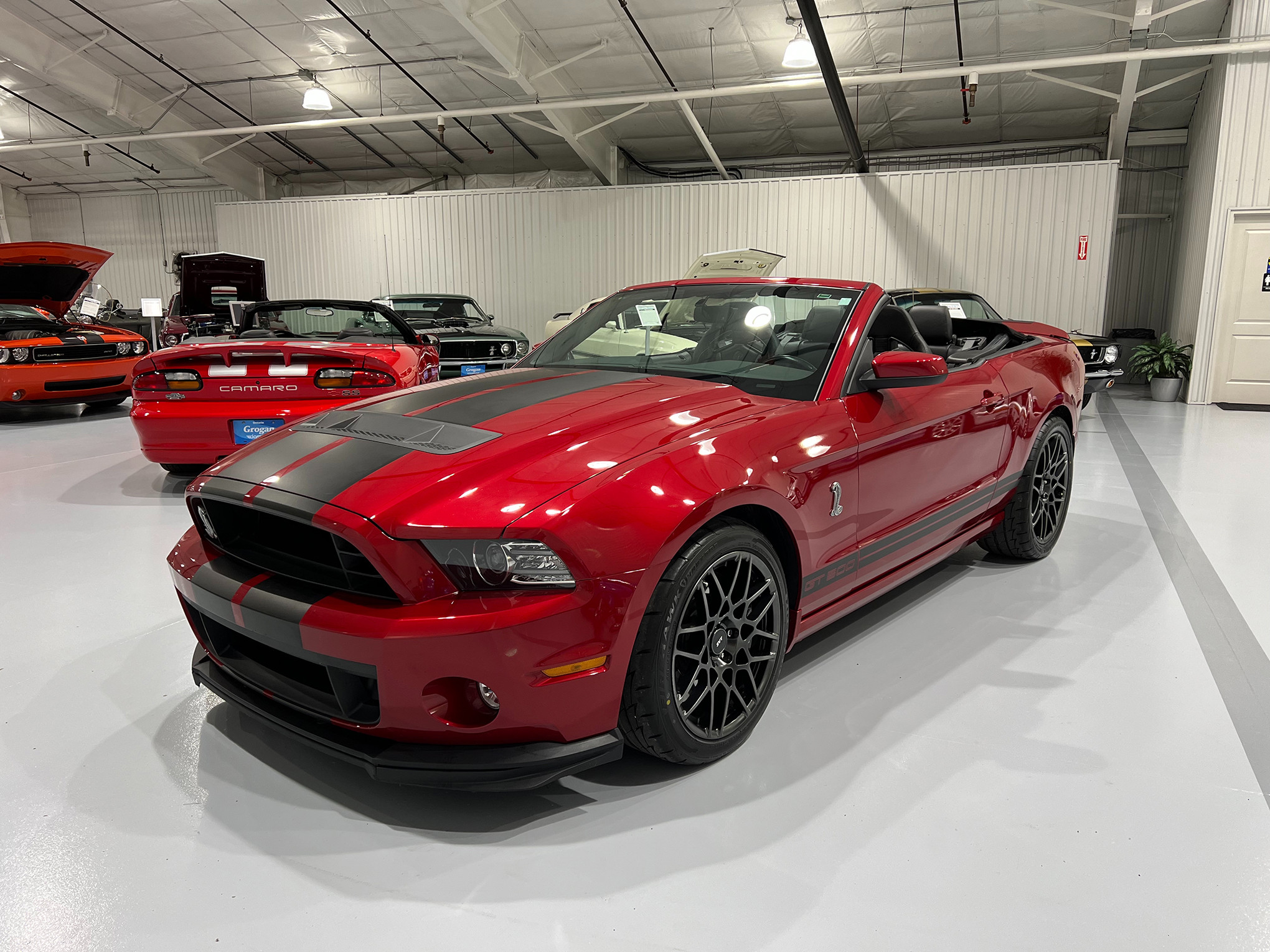 2013 Ford Shelby GT500