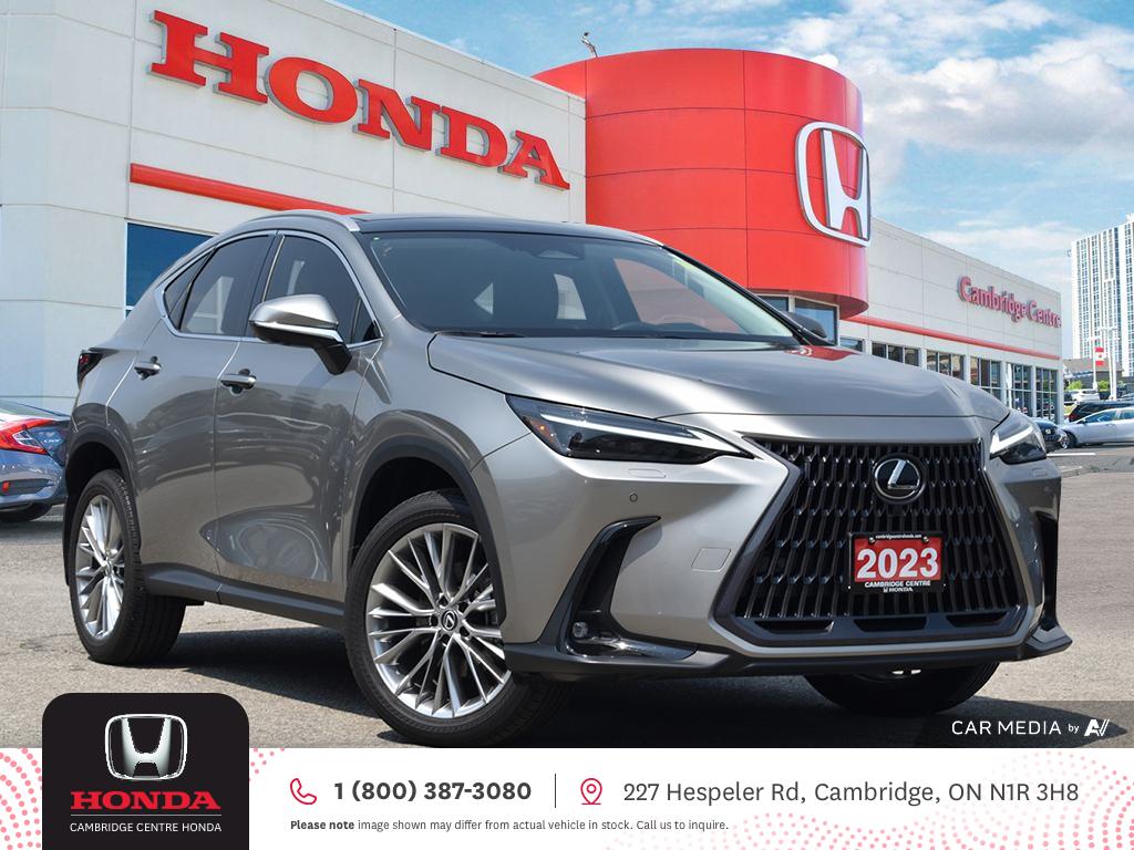 2023 Lexus NX 350