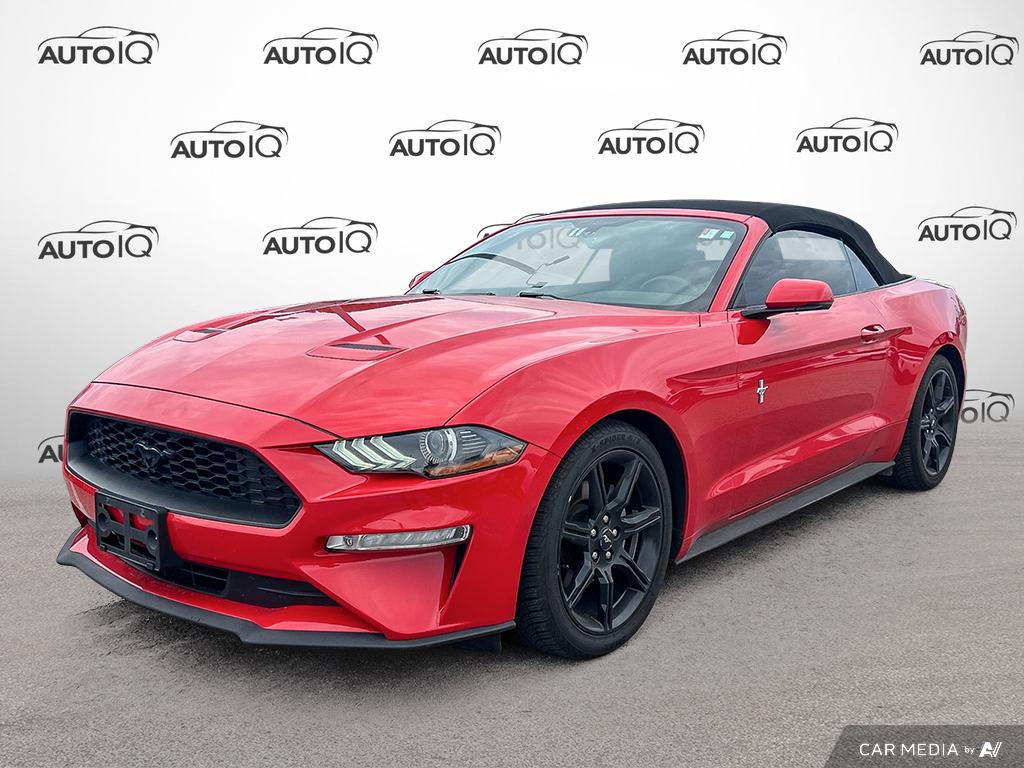 2019 Ford Mustang