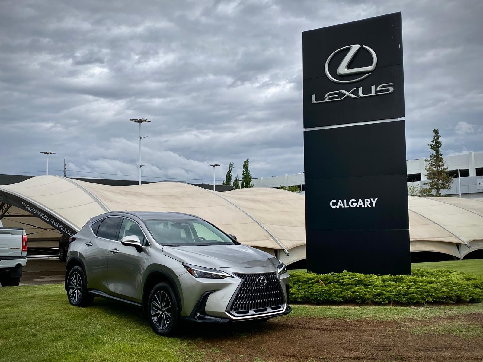 2023 Lexus NX 250
