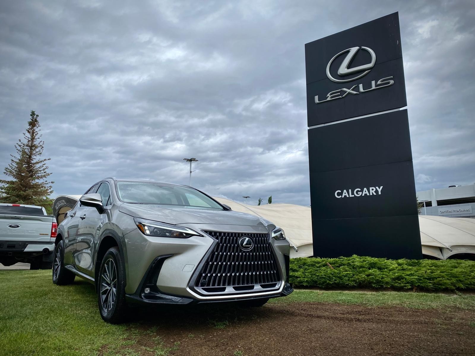 2023 Lexus NX 250