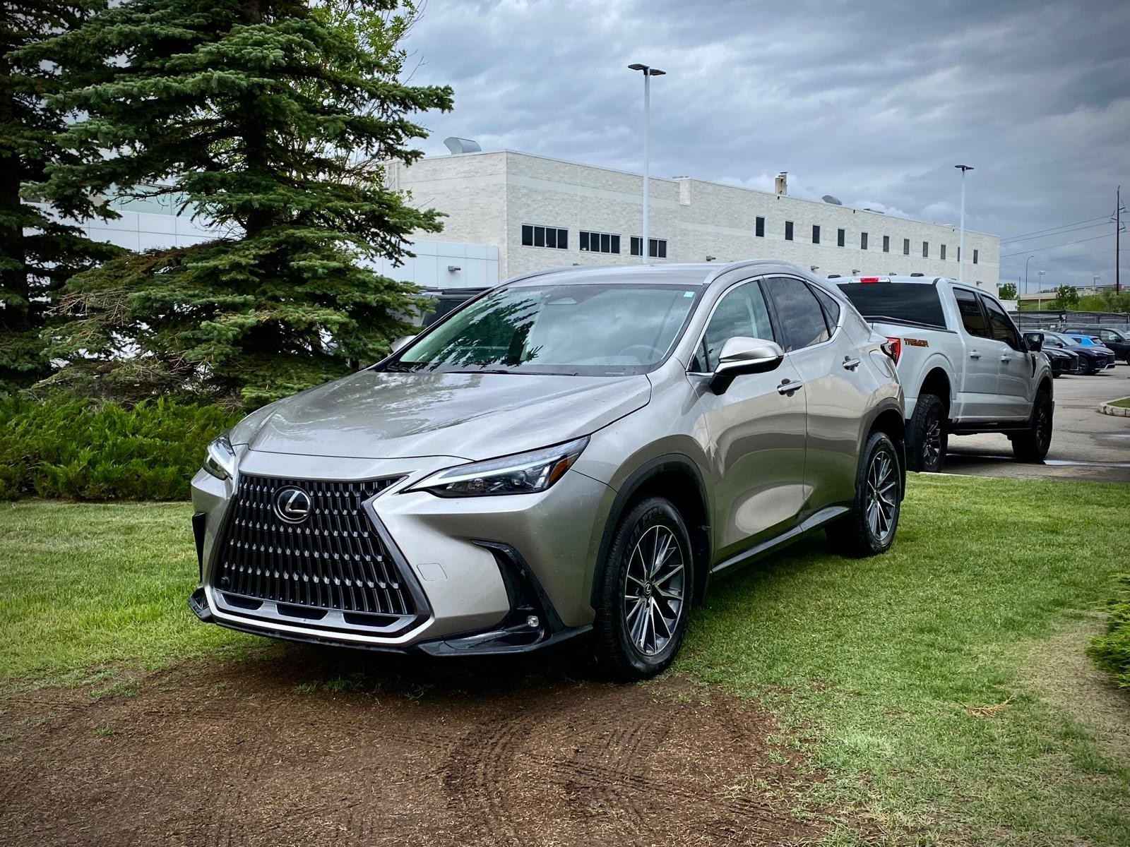 2023 Lexus NX 250