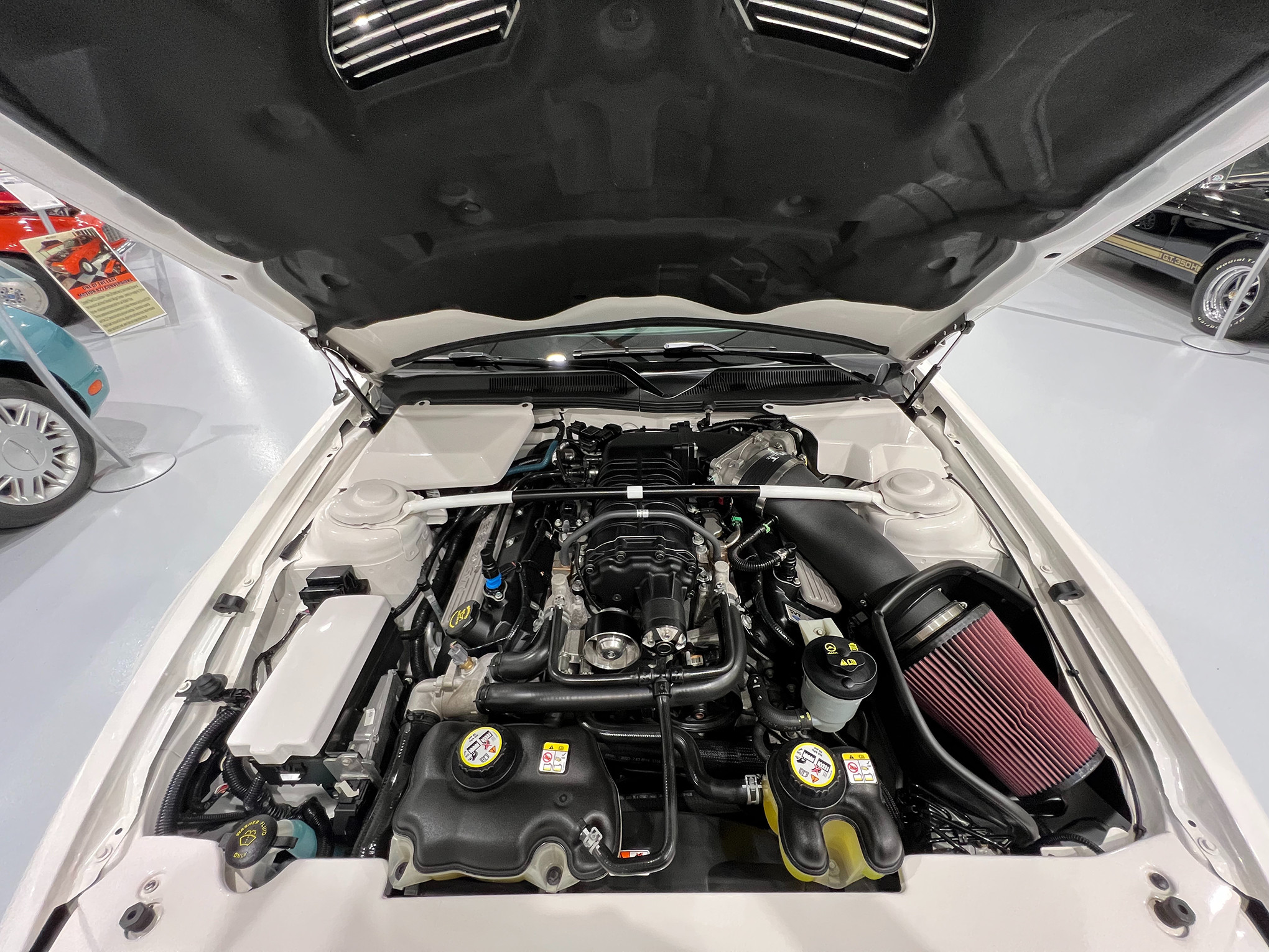 2008 Ford Shelby GT500