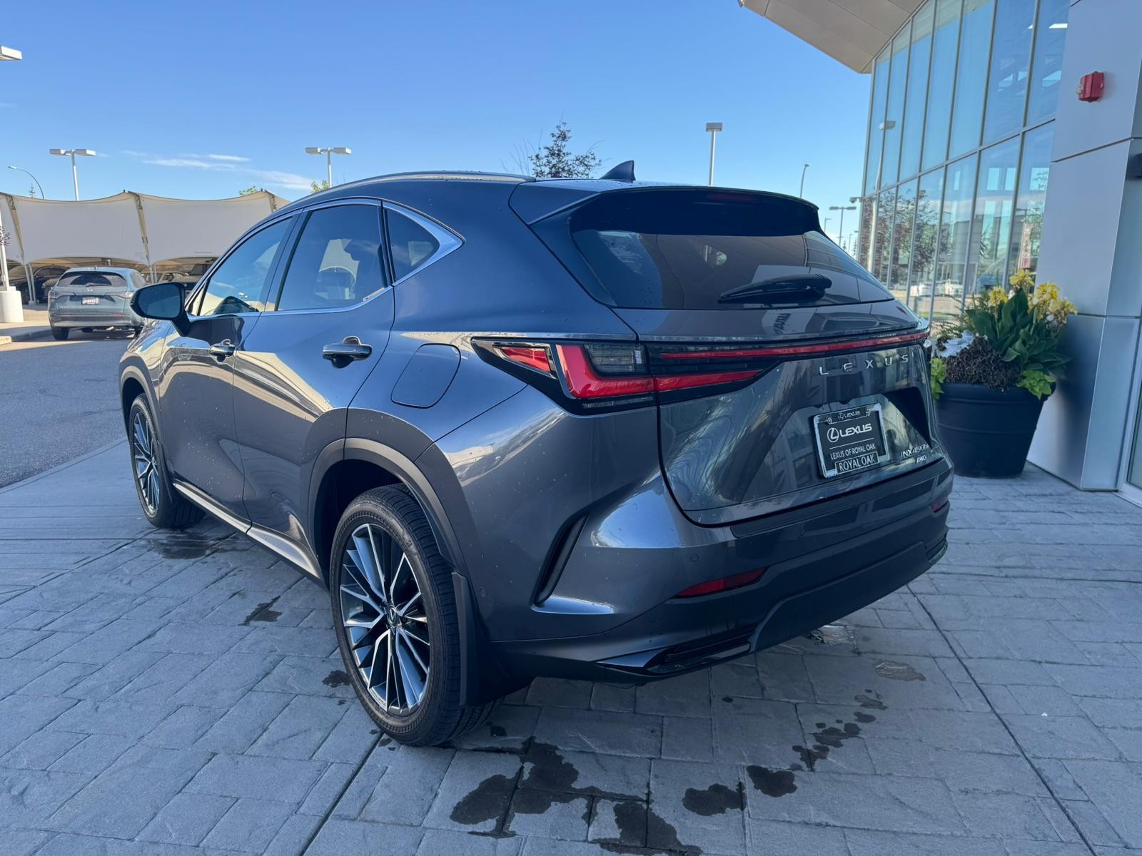 2025 Lexus NX