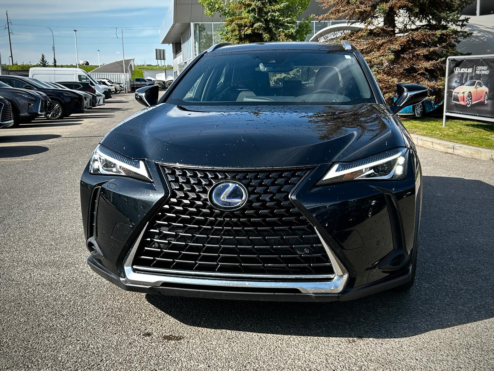 2019 Lexus UX 250h