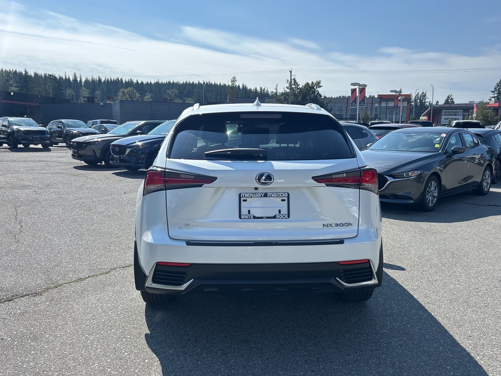 2021 Lexus NX 300h