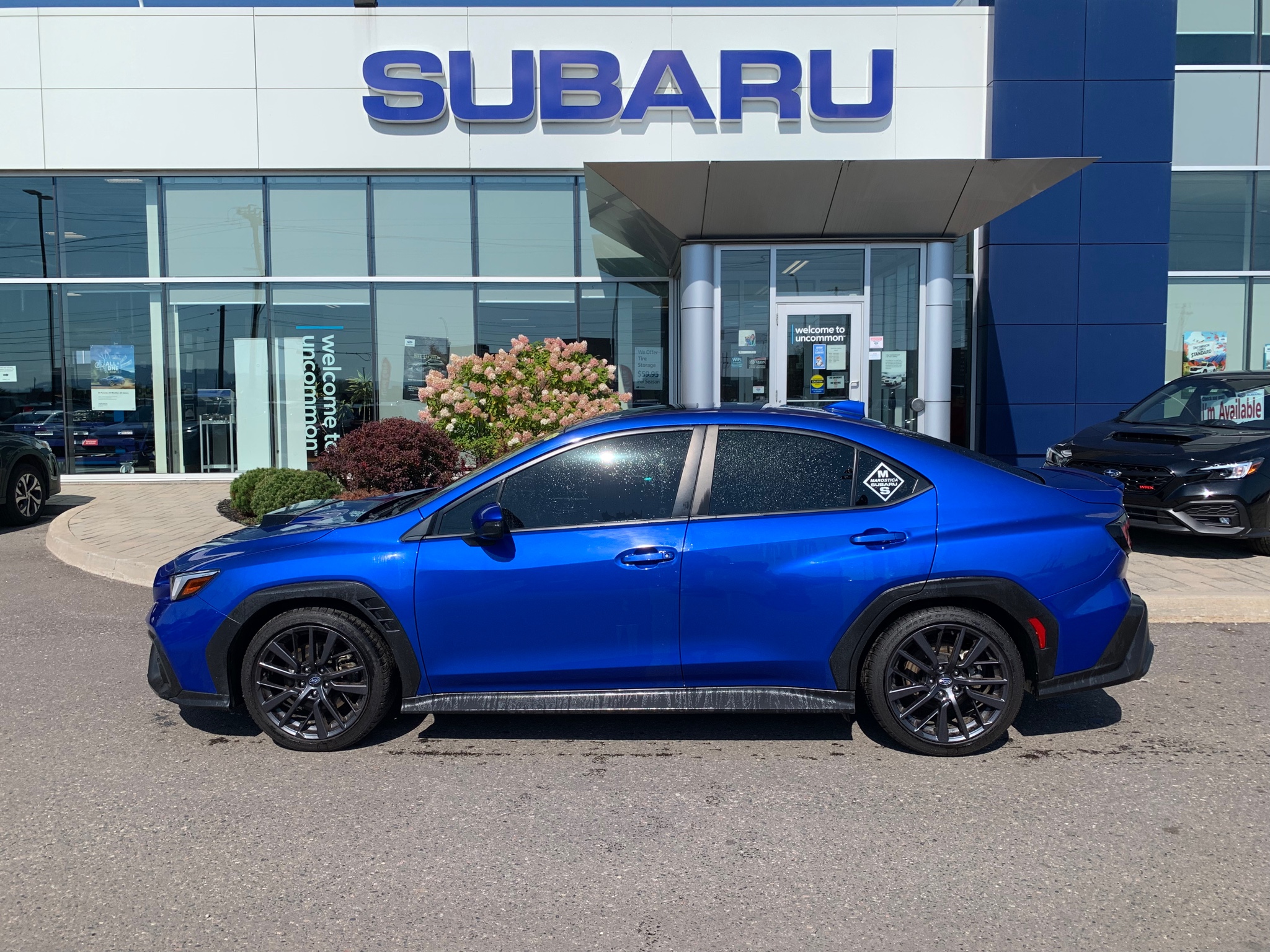 2023 Subaru WRX