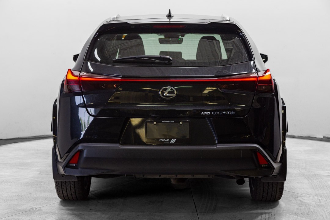 2024 Lexus UX 250h