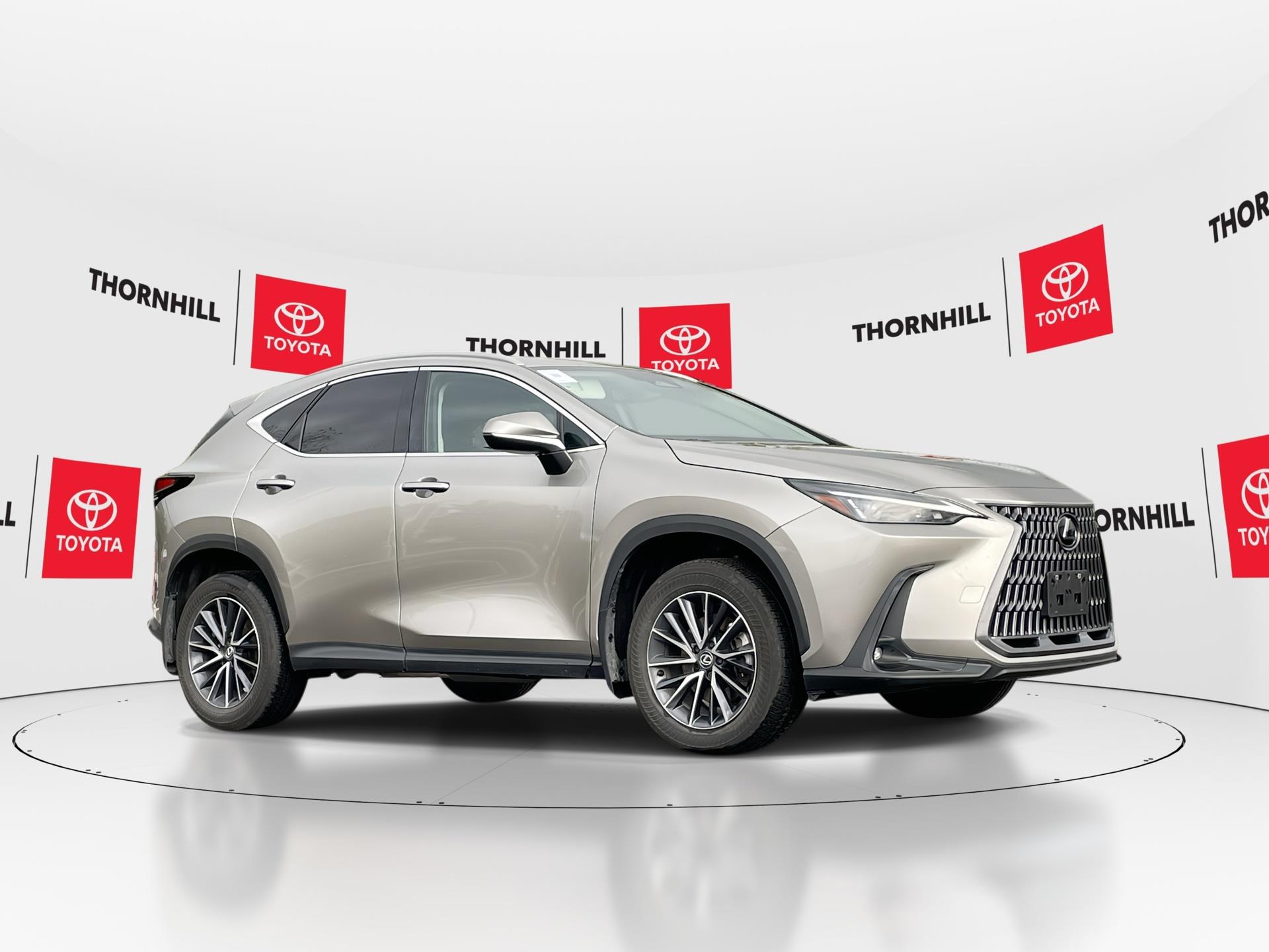 2025 Lexus NX 350h