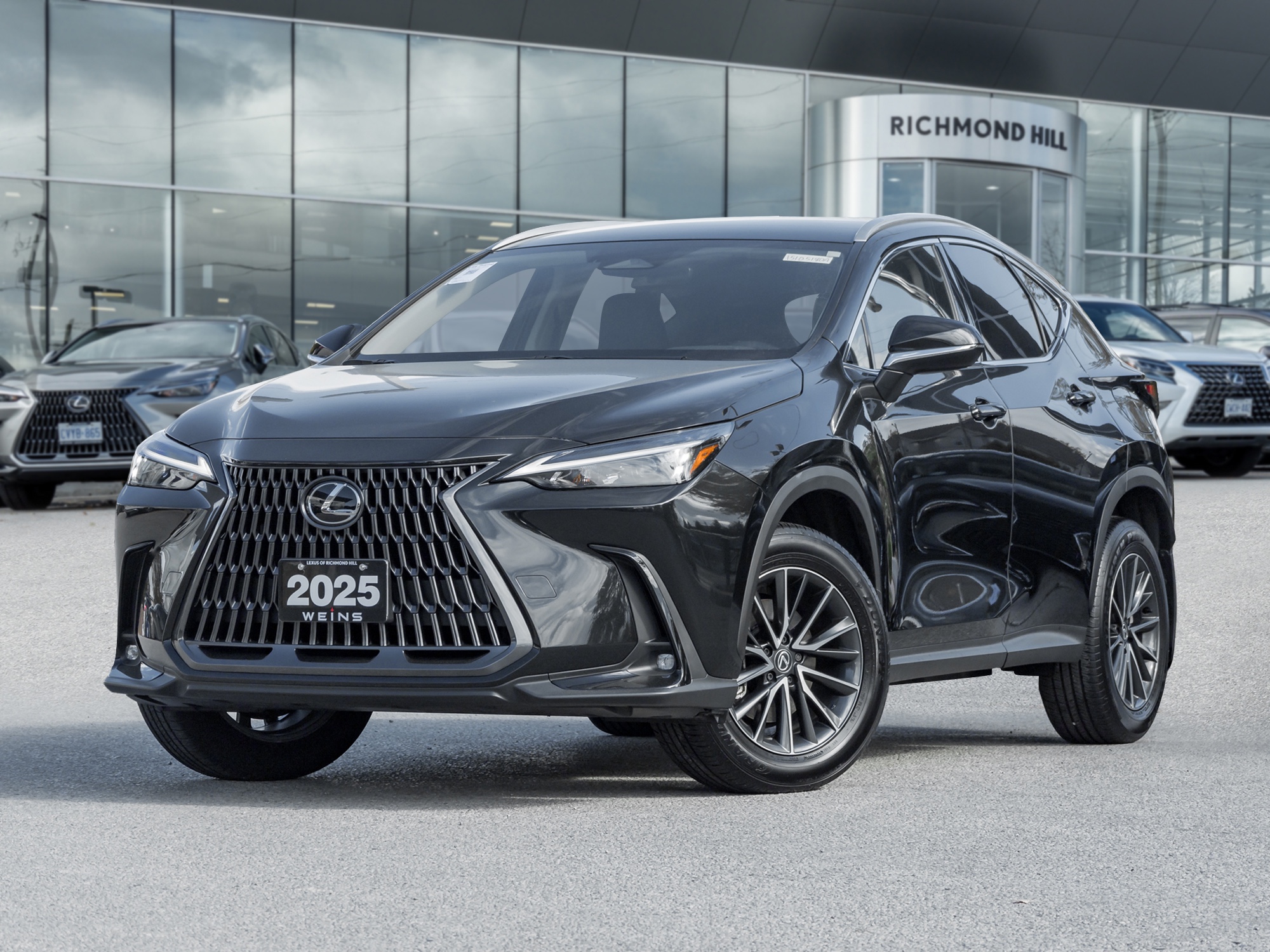 2025 Lexus NX 250