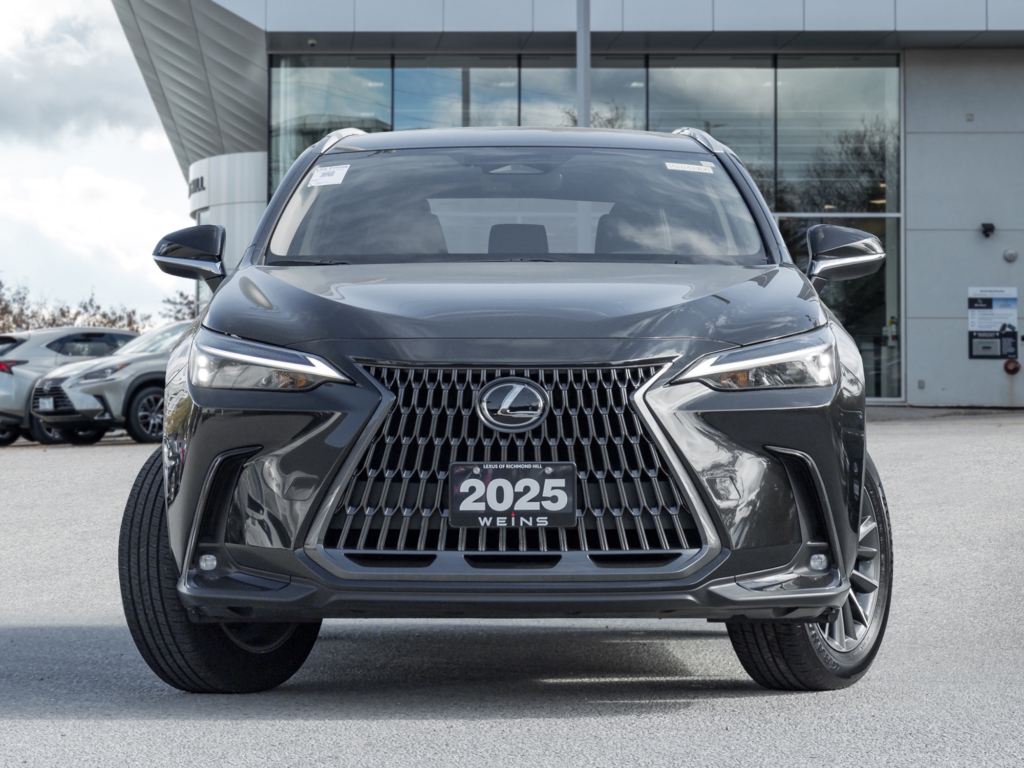 2025 Lexus NX 250