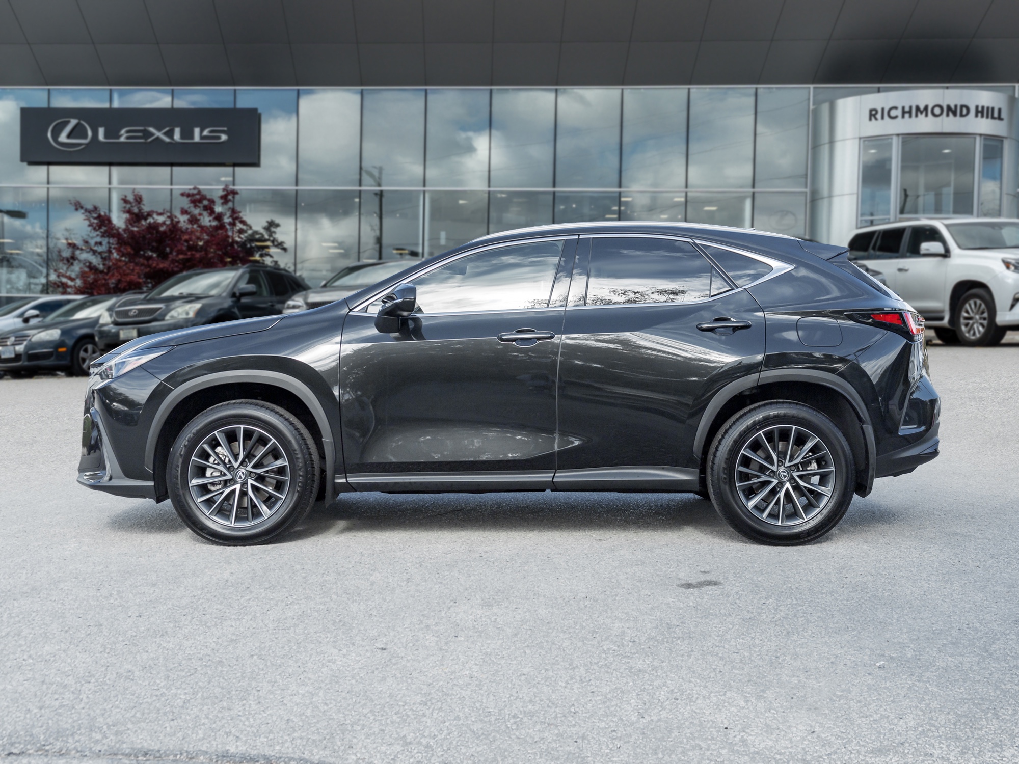 2025 Lexus NX 250