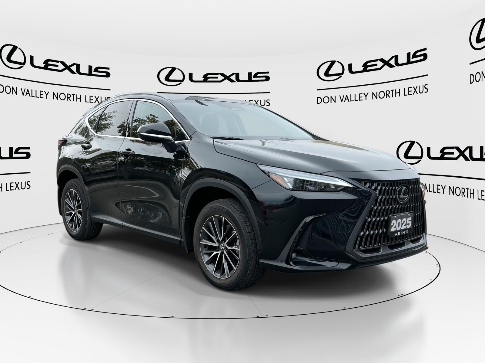 2025 Lexus NX 250