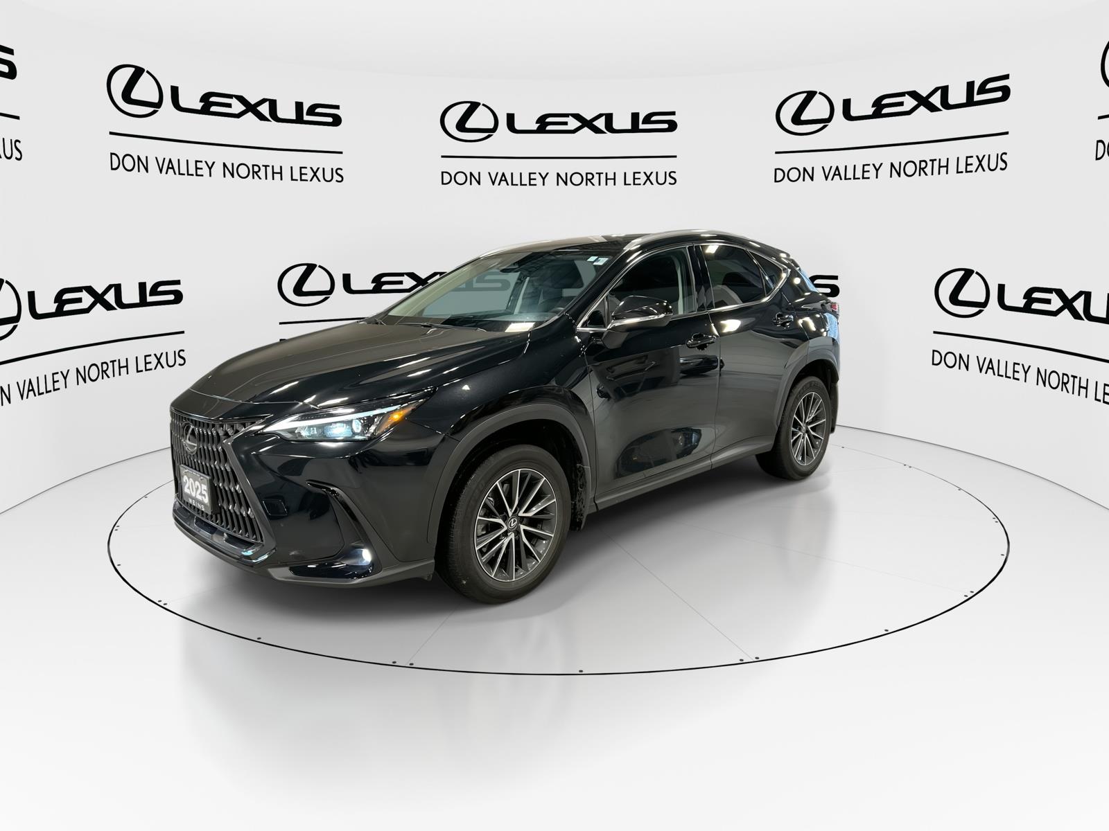 2025 Lexus NX 250