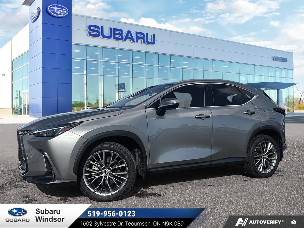 2022 Lexus NX 350h