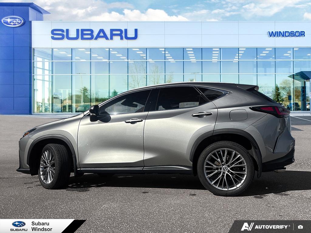 2022 Lexus NX 350h