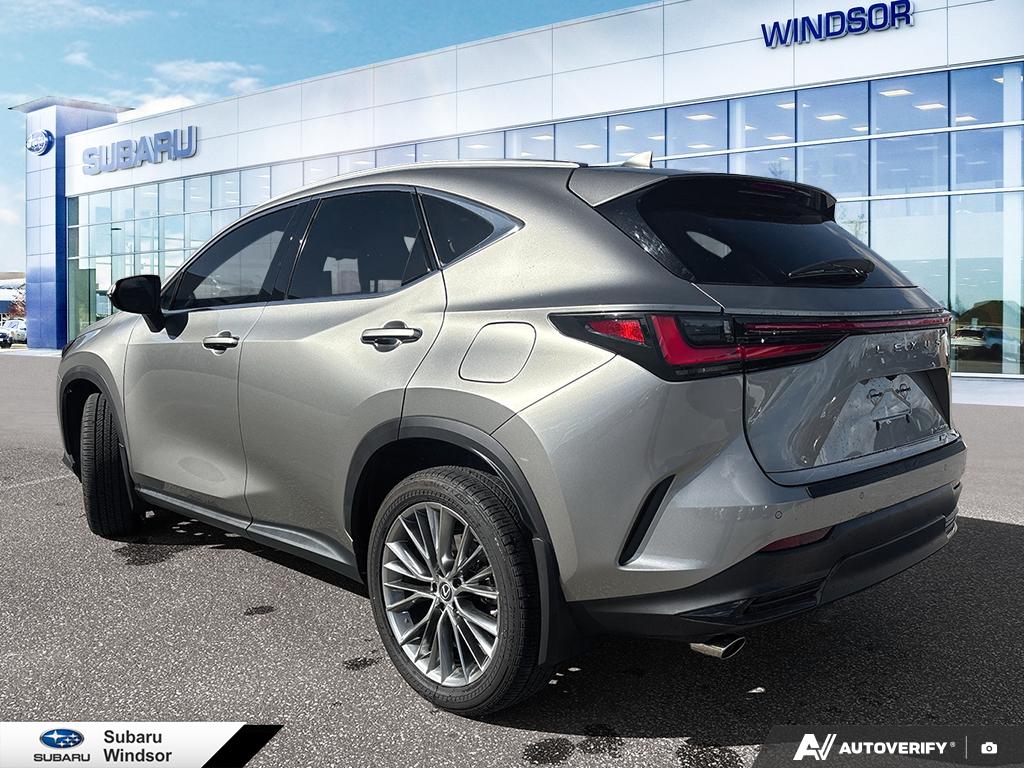 2022 Lexus NX 350h
