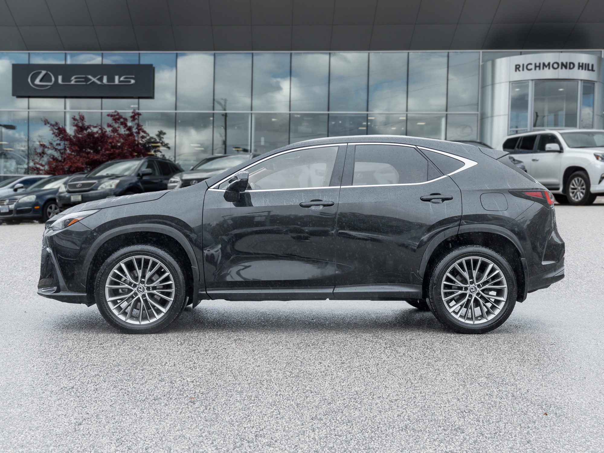 2022 Lexus NX 350