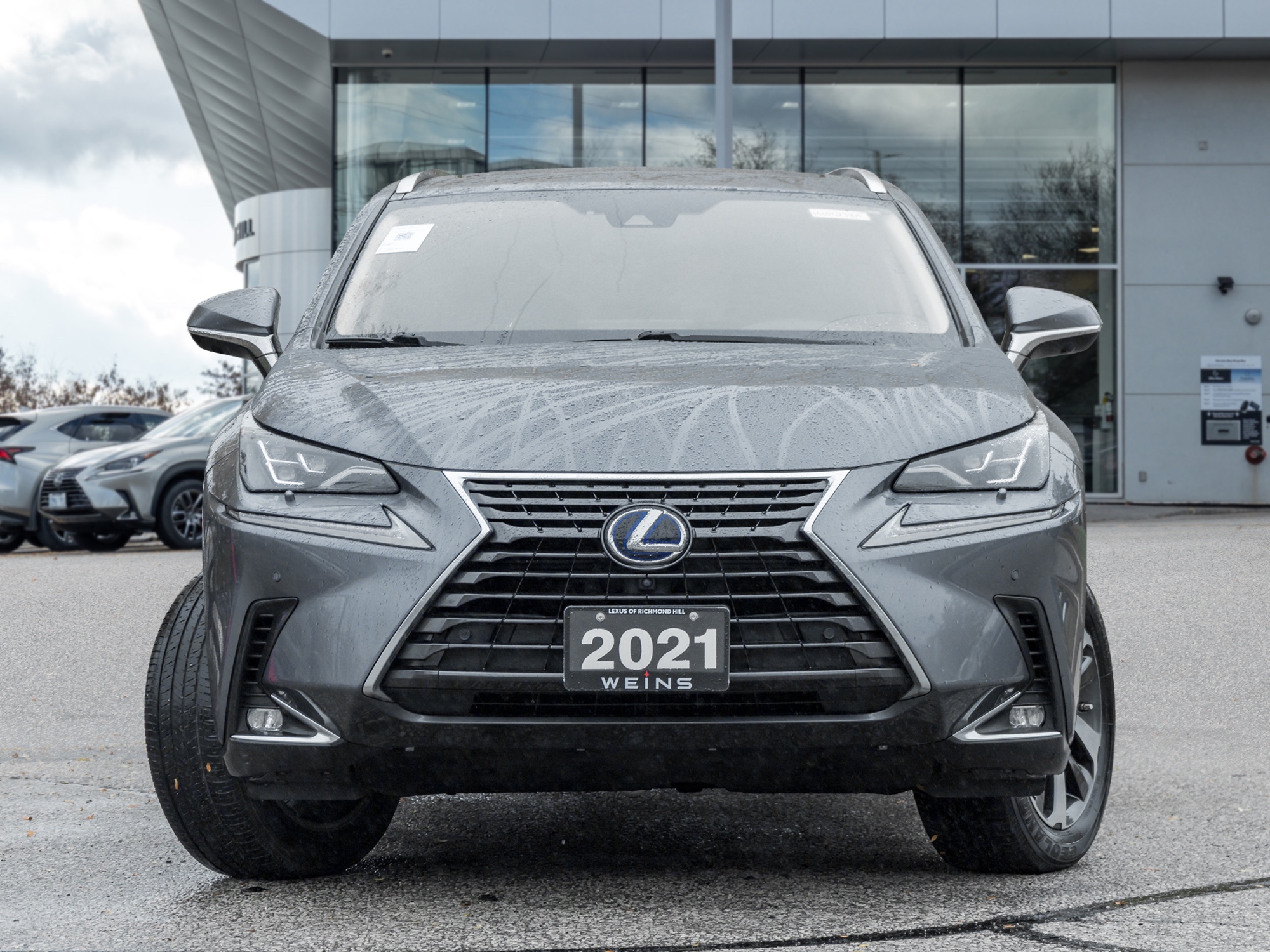 2021 Lexus NX 300h