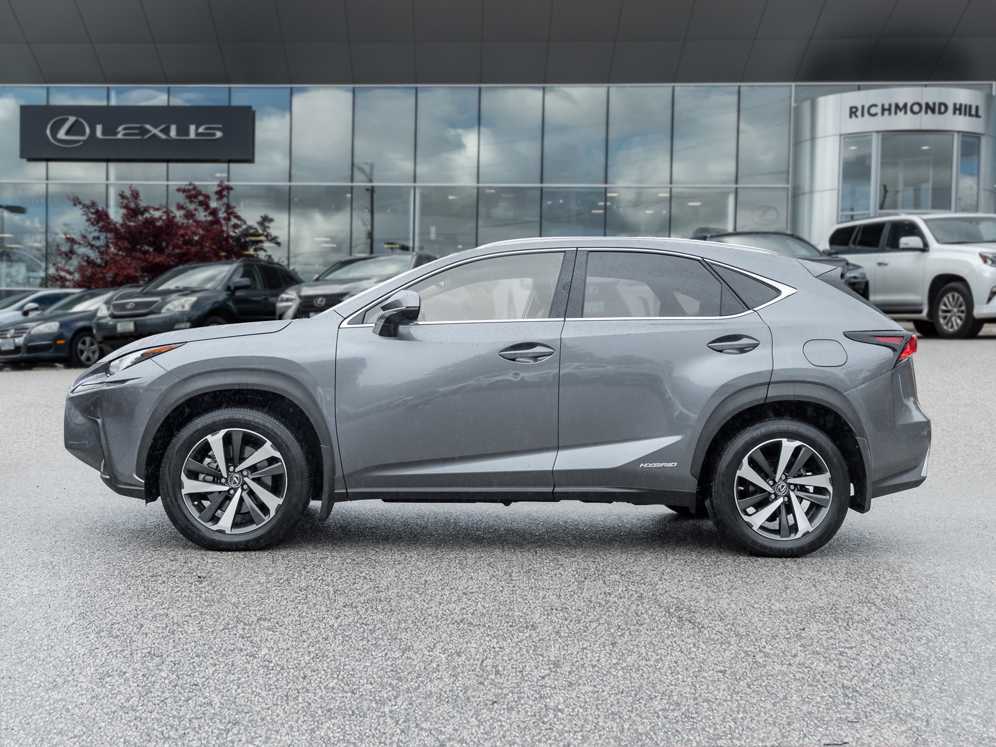 2021 Lexus NX 300h
