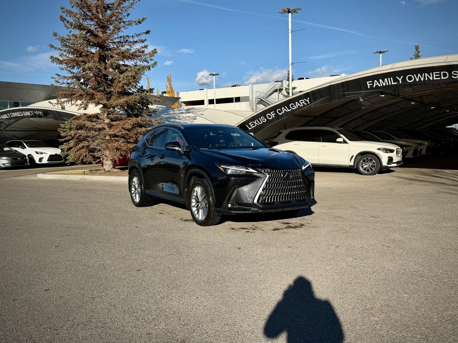 2024 Lexus NX 350h
