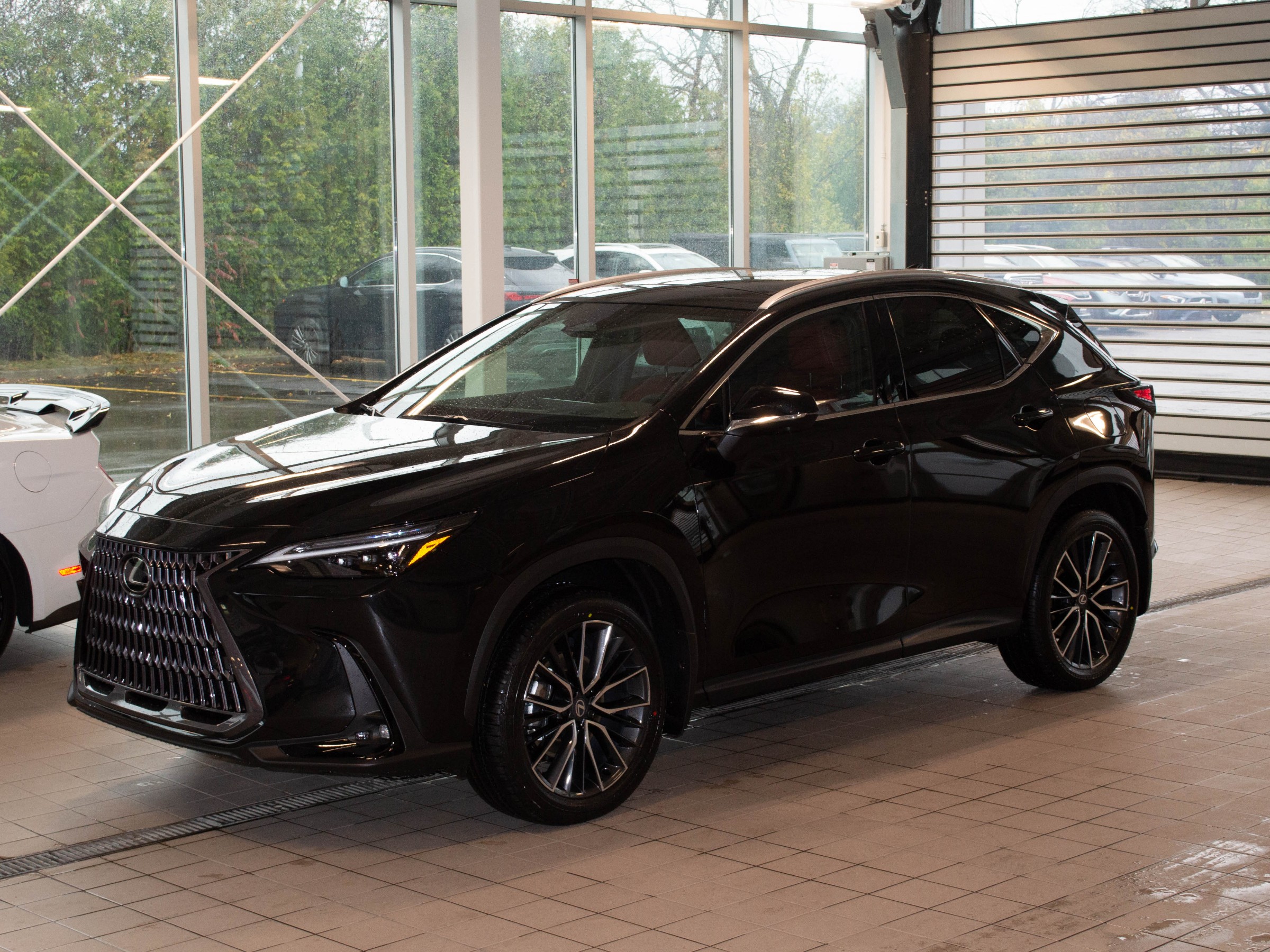 2026 Lexus NX 350h