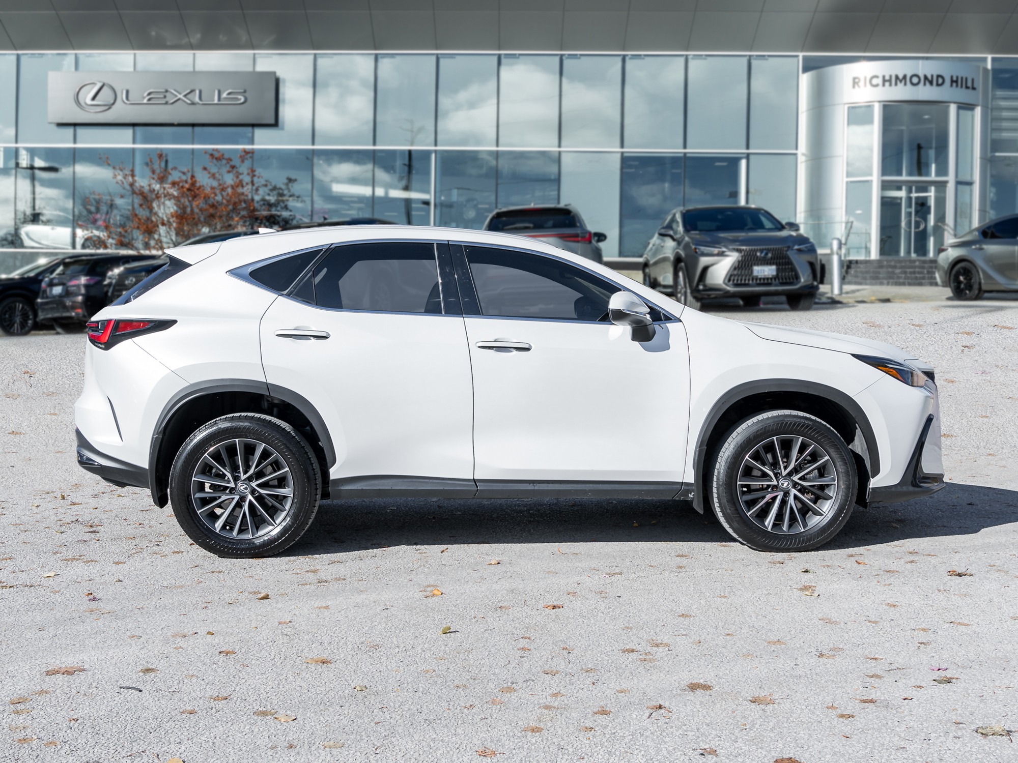 2022 Lexus NX 350h