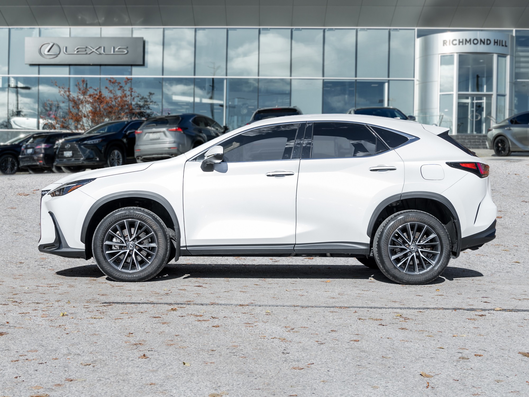 2022 Lexus NX 350h