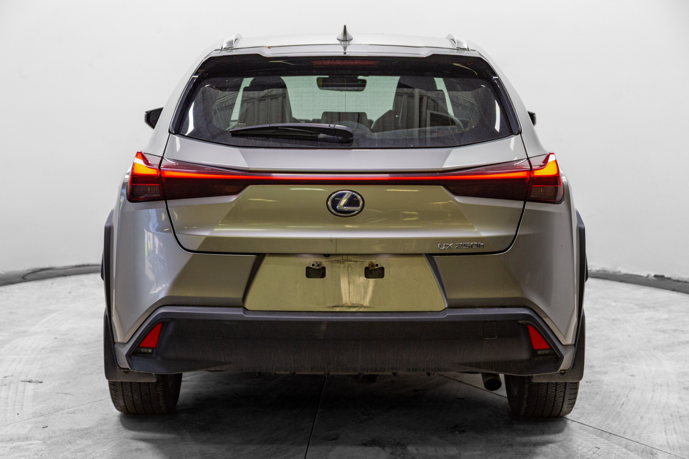 2020 Lexus UX 250h
