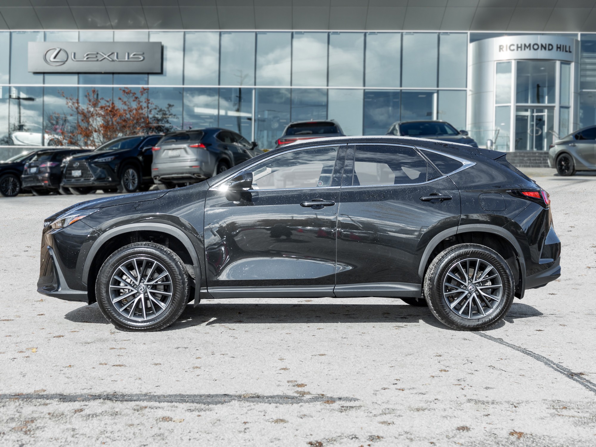 2024 Lexus NX 350h