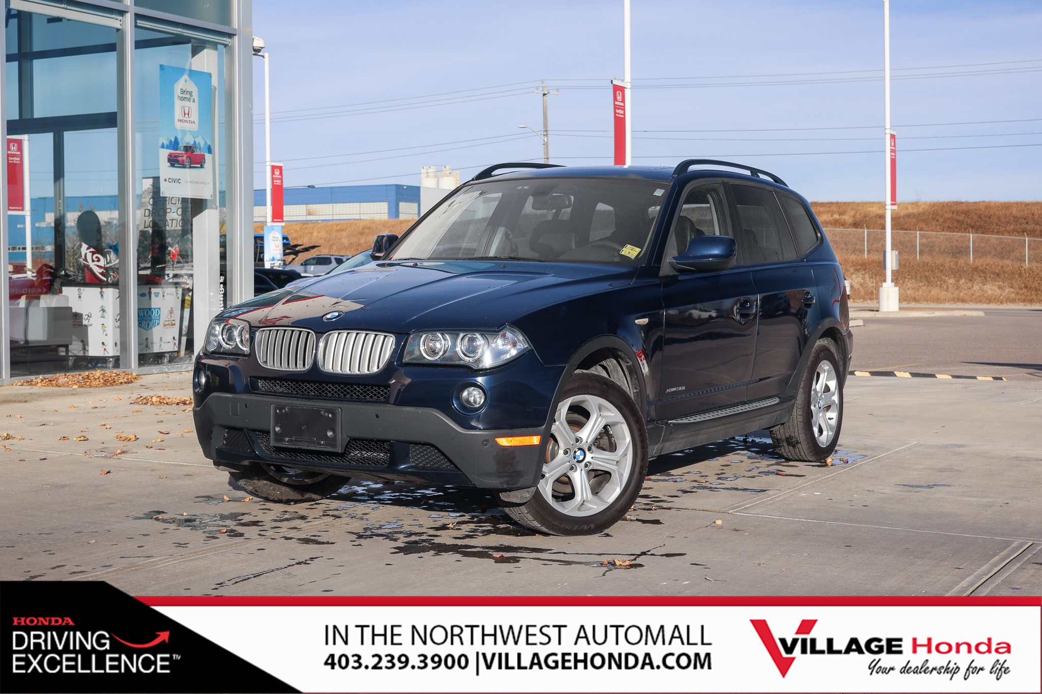 2010 BMW X3