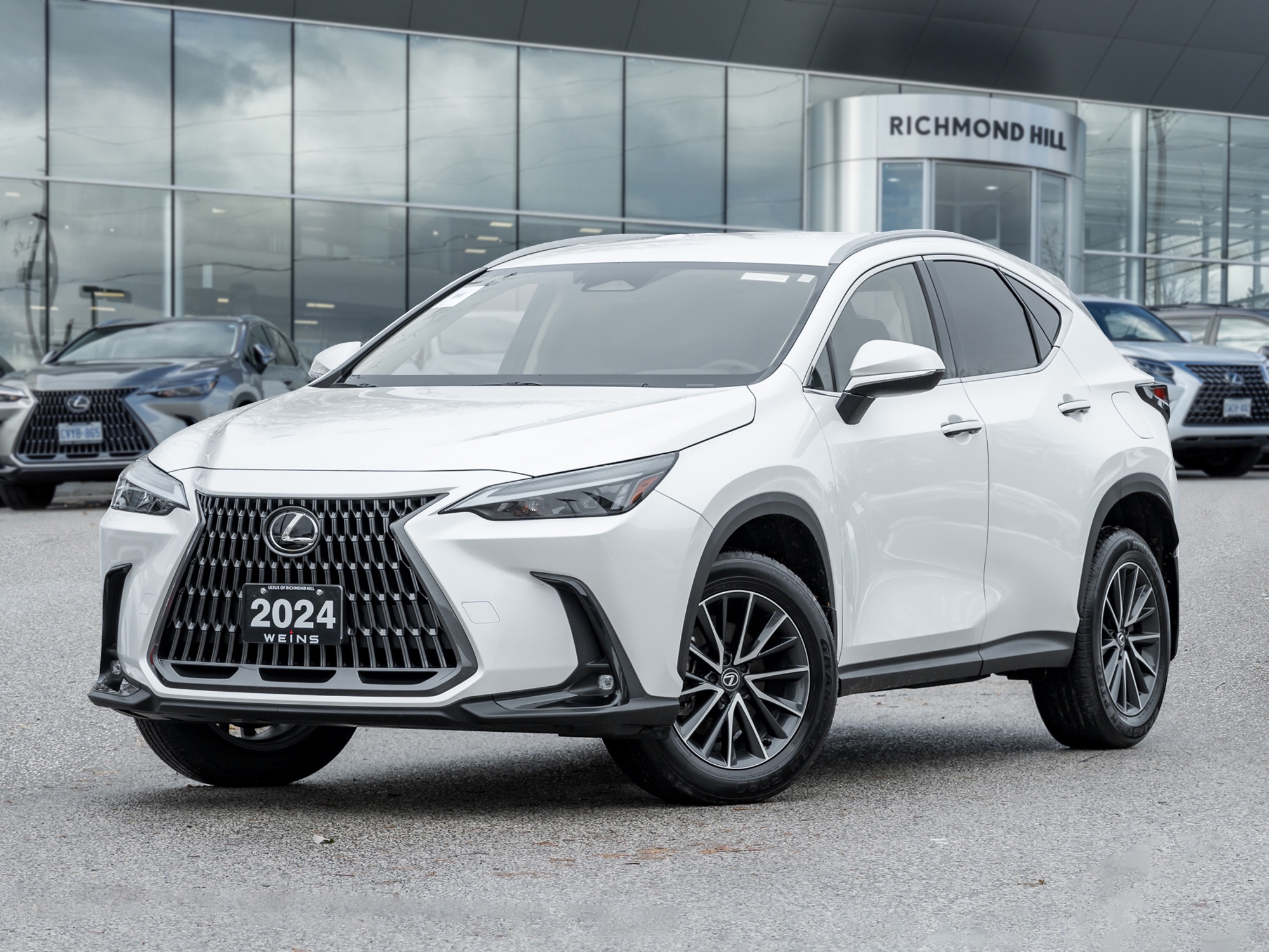 2024 Lexus NX 250
