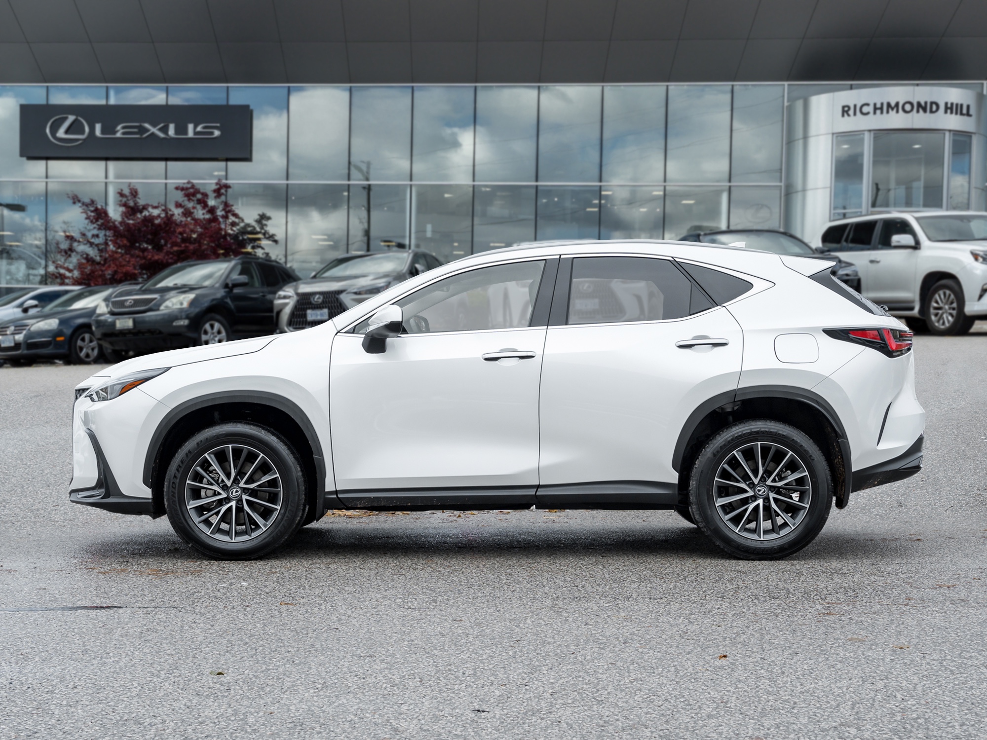 2024 Lexus NX 250