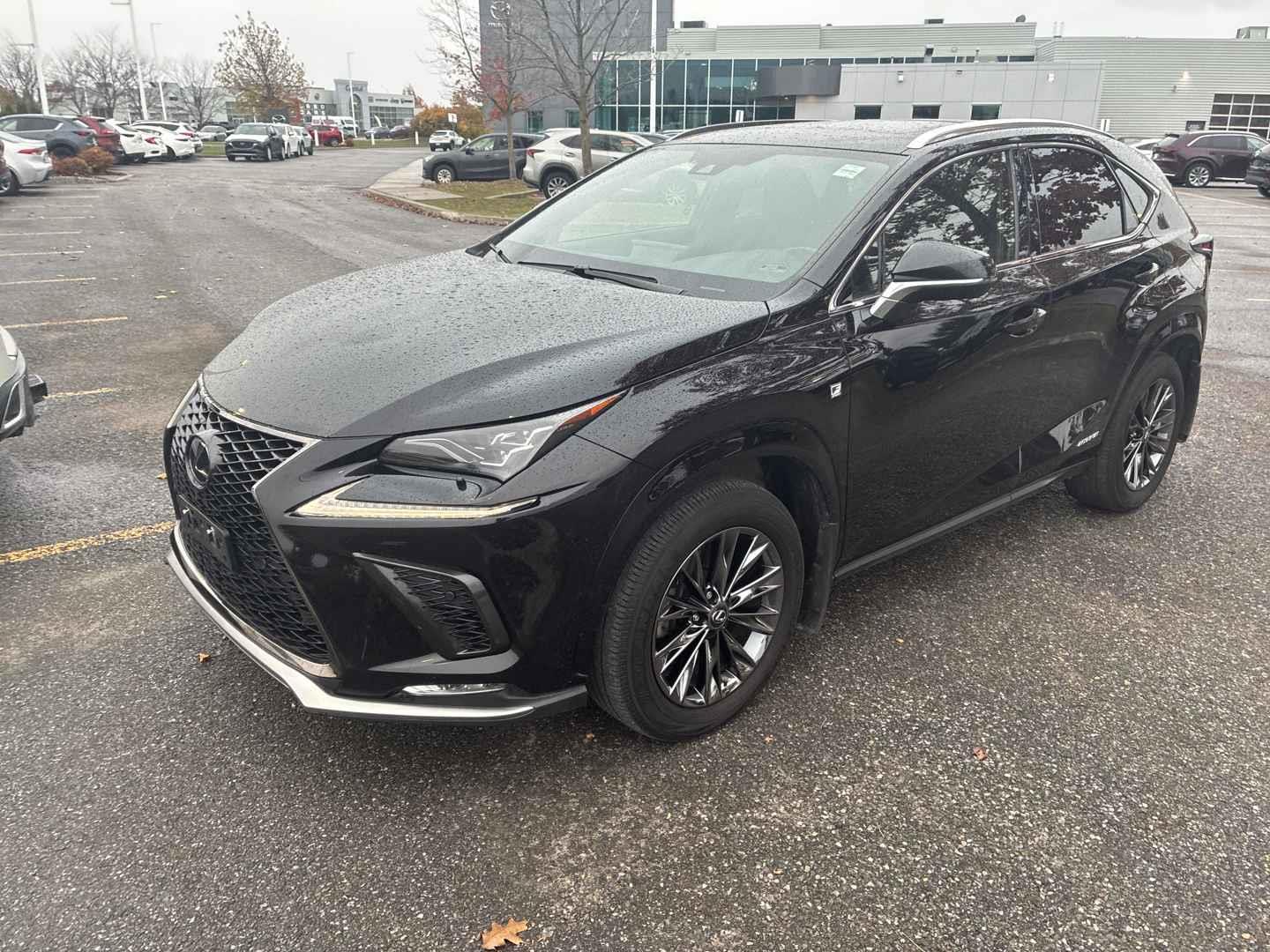 2021 Lexus NX 300h