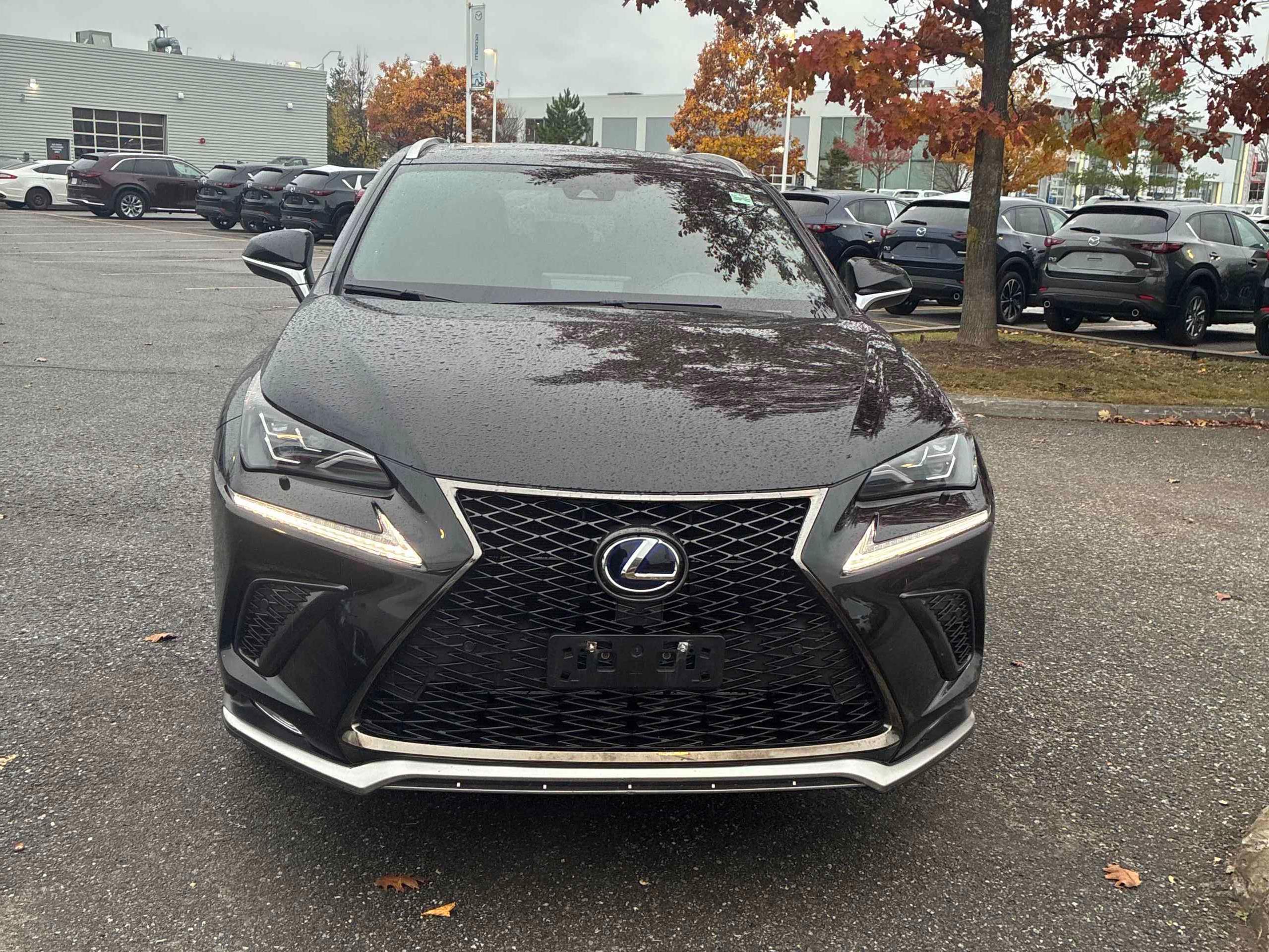2021 Lexus NX 300h