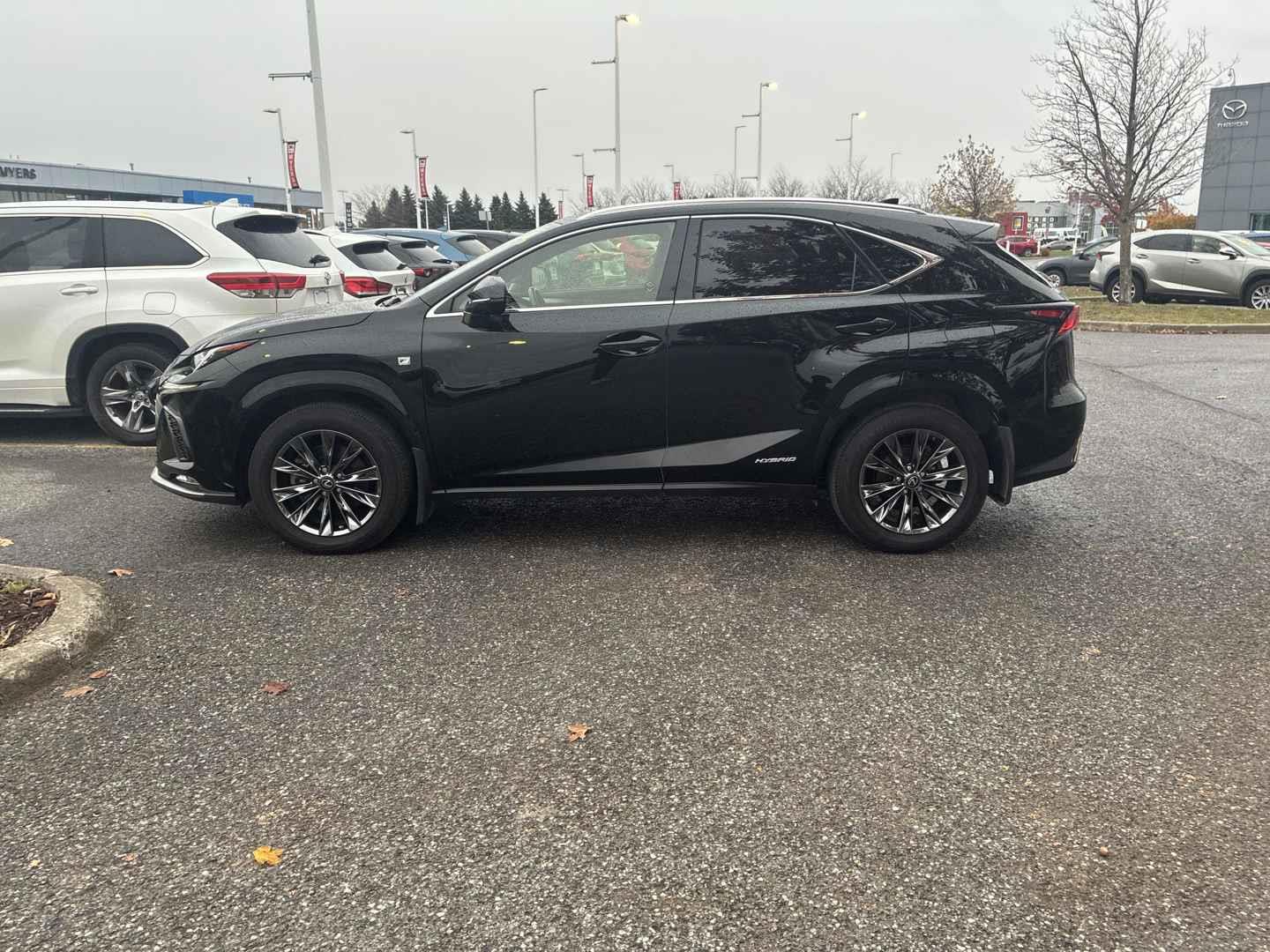 2021 Lexus NX 300h