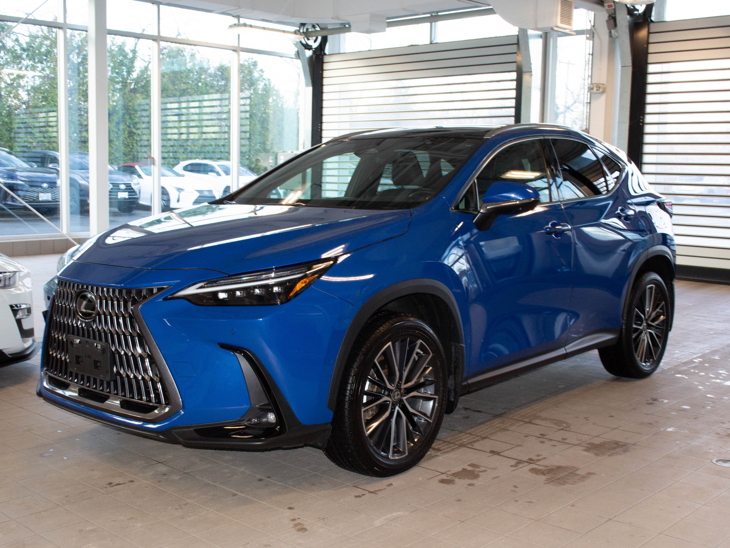 2022 Lexus NX 350h