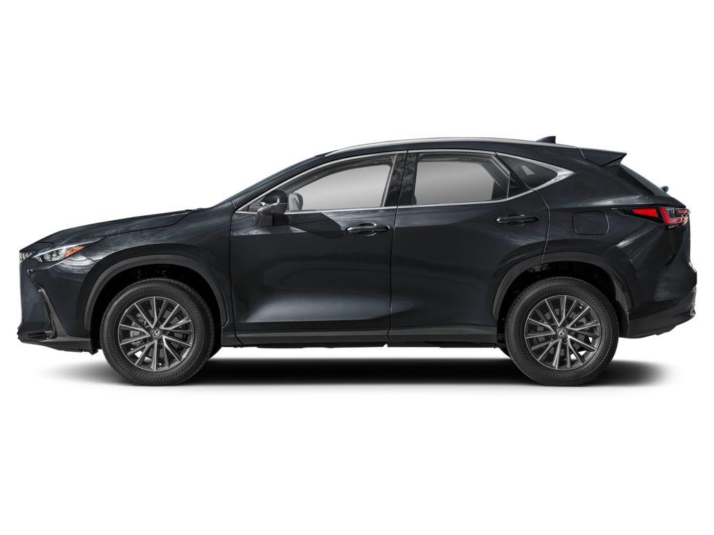 2024 Lexus NX 250