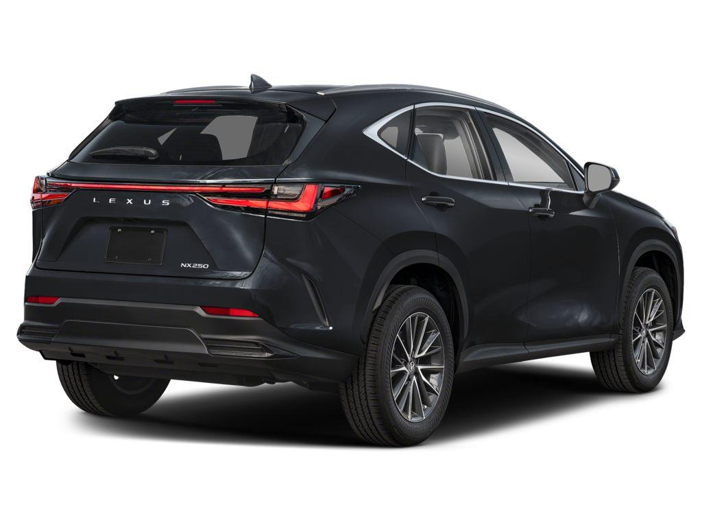 2024 Lexus NX 250
