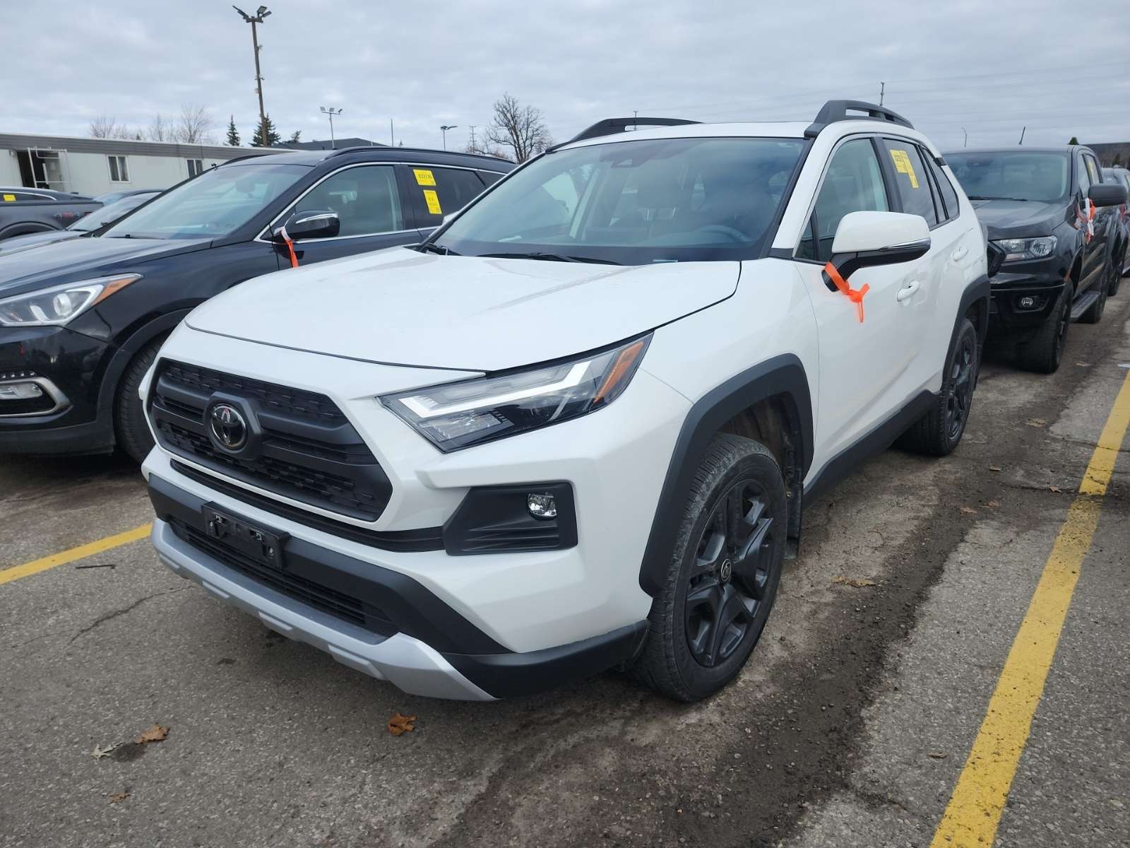 2024 Toyota RAV4