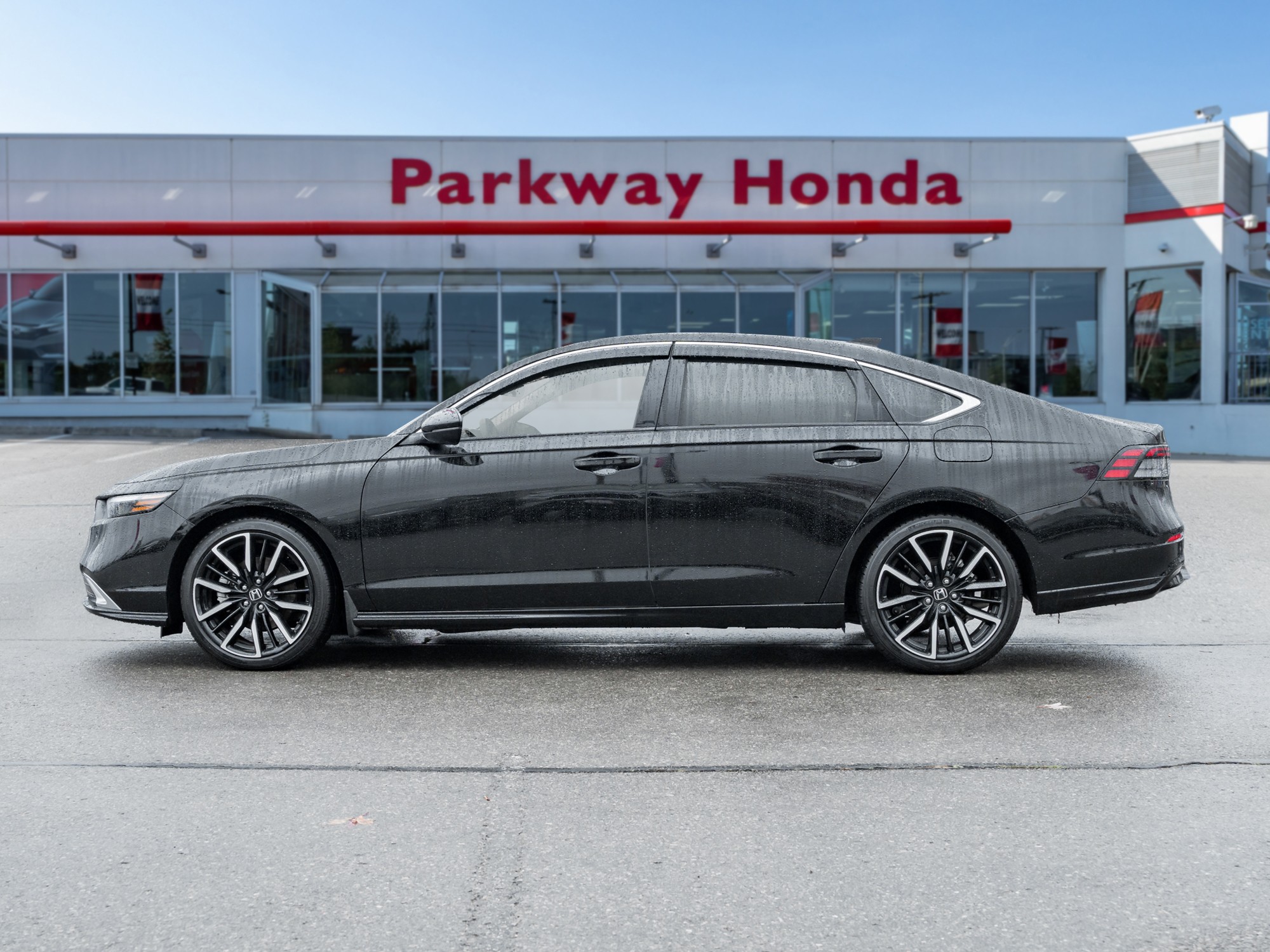 2024 Honda Accord Hybrid