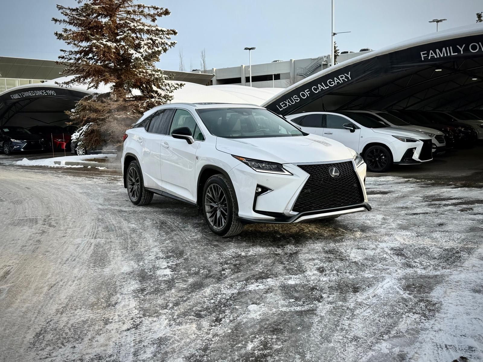 2019 Lexus RX 350