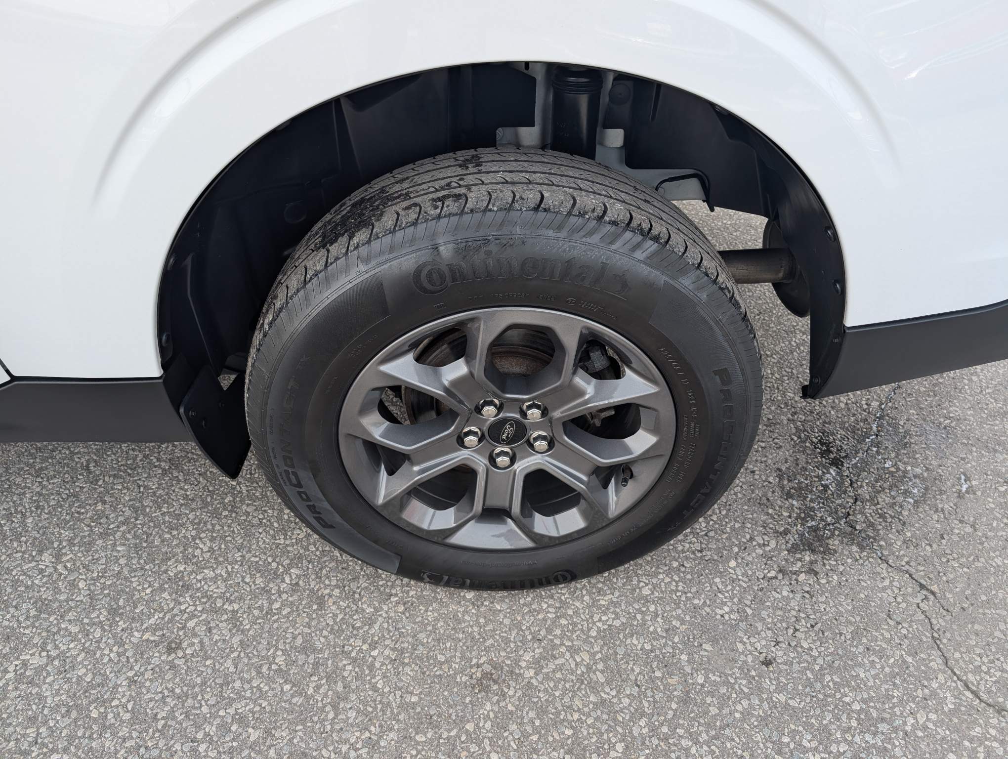 Image 8