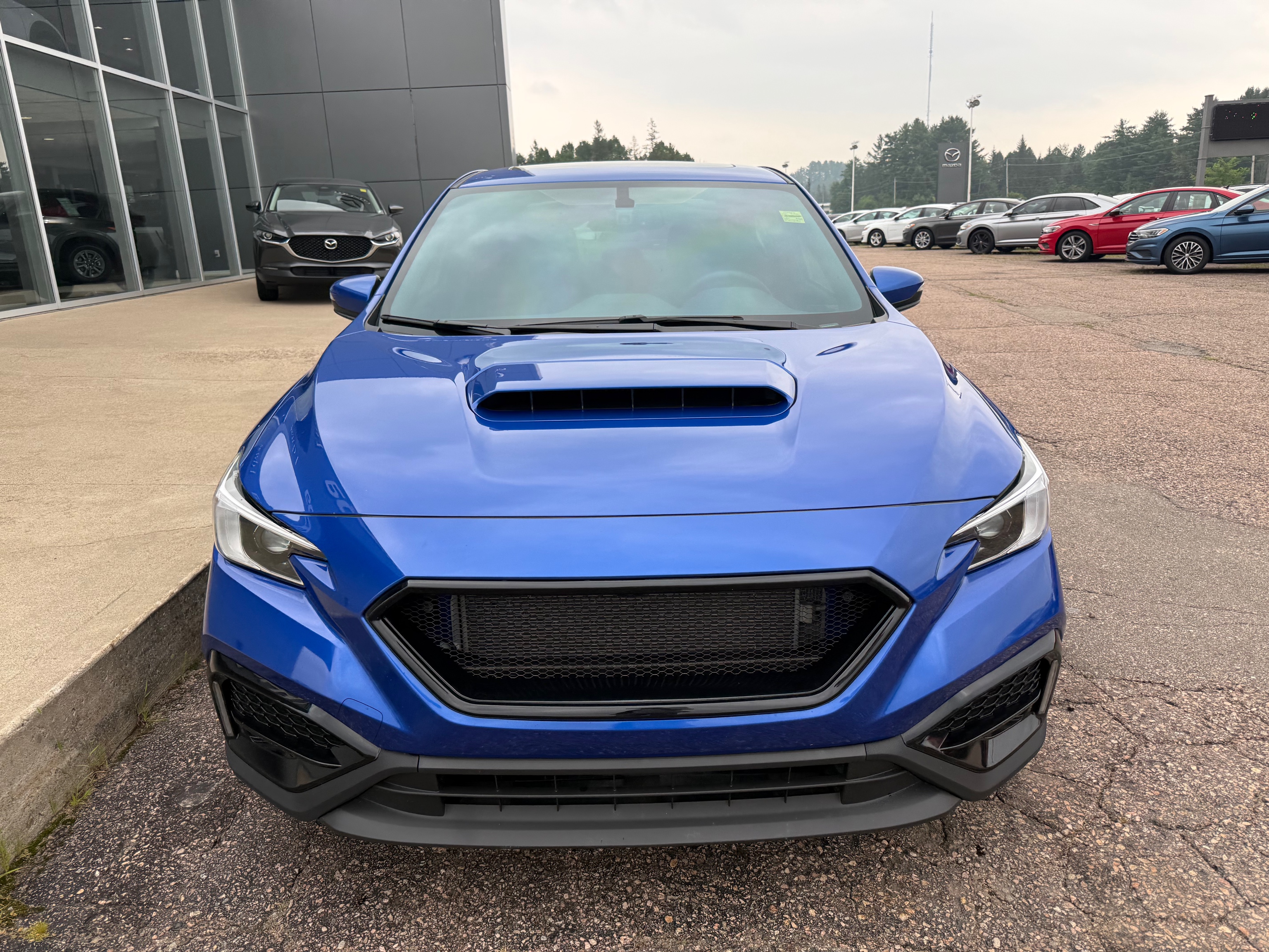 2023 Subaru WRX