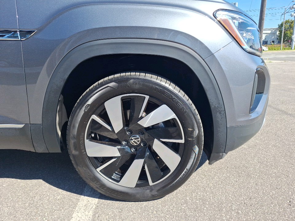 Image 7