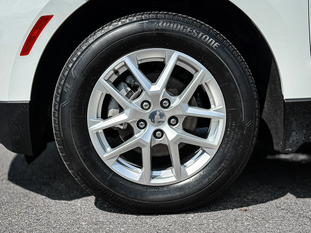 Image 8