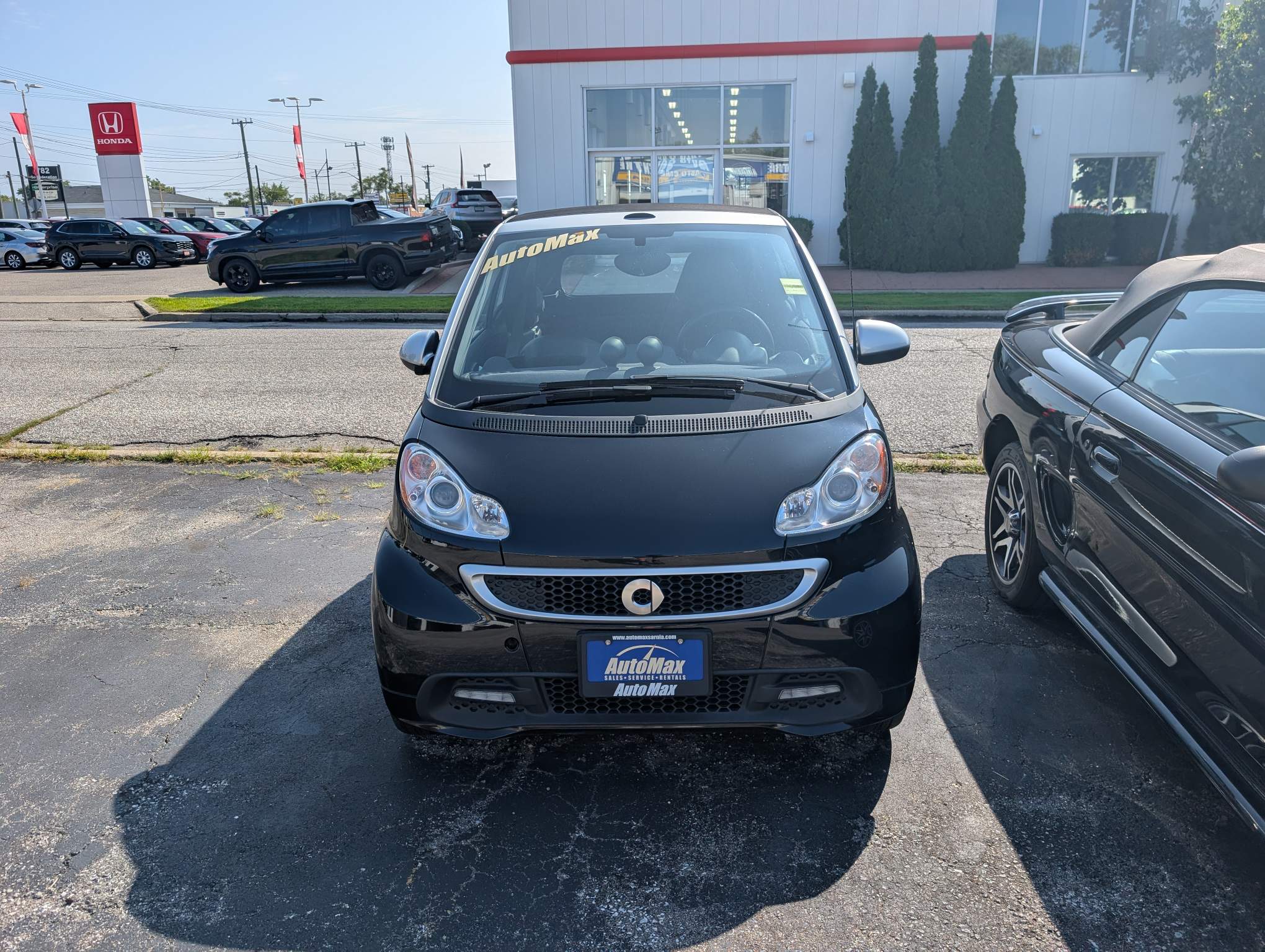 Image 6