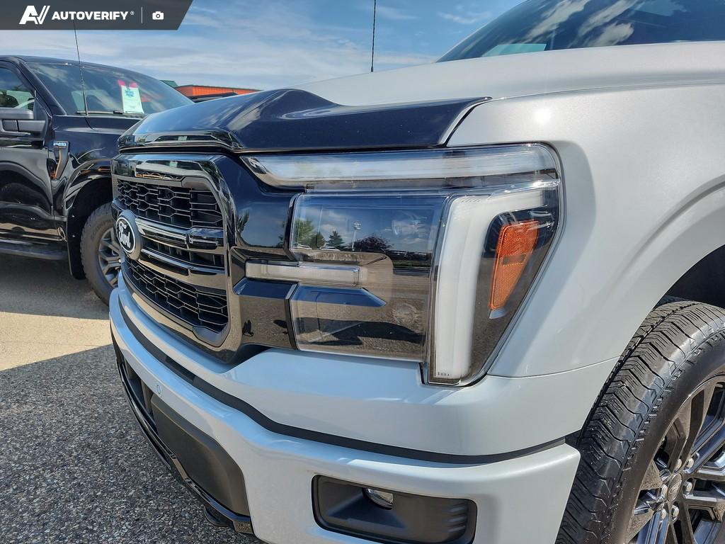 Image 7